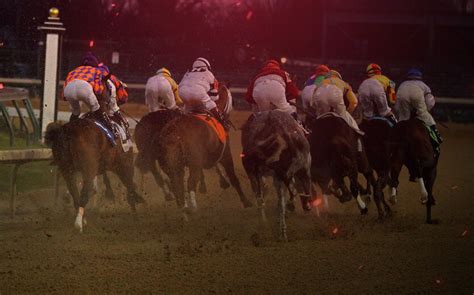 Horse Betting 101: A Definitive Guide to Horse Racing .